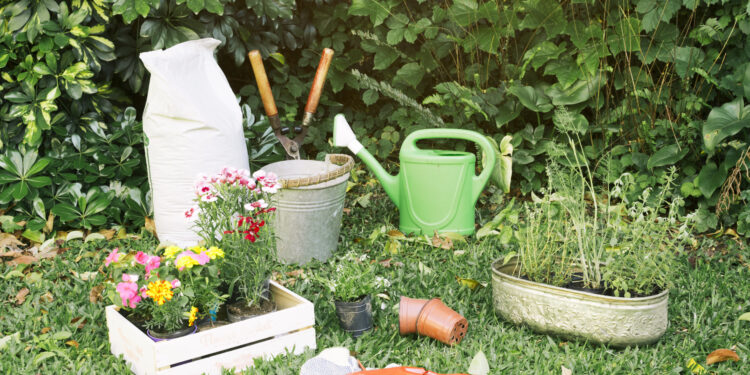 Brutalny atak zakończony śmiercią 88-latka: Zabójstwo na ogródkach działkowych w Gdańsku Wiadomości Brutalny atak zakończony śmiercią 88-latka: Zabójstwo na ogródkach działkowych w Gdańsku