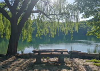 Najpiękniejsze parki w Gdańsku